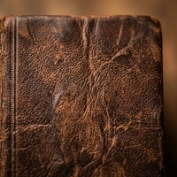 Leather Hide, Leather Structure, Processed Leather. Leather Craft. Leather.